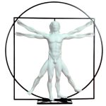 sculpture: L homme de Vitruve de Léonard De Vinci. En résine entièrement peinte à la main www.boutiquestgermain.com